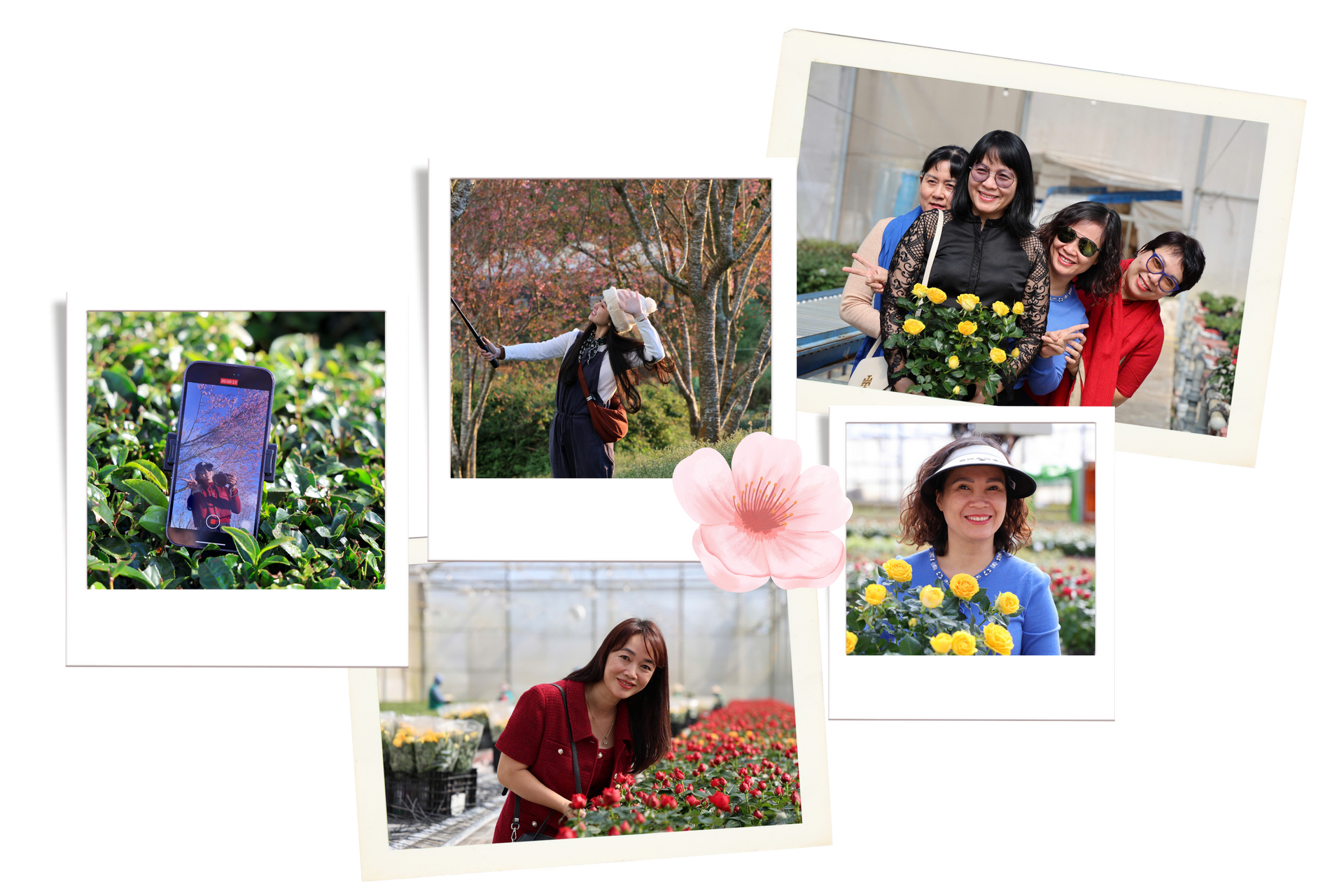 Bản sao của MAU MT-Lyly (1)