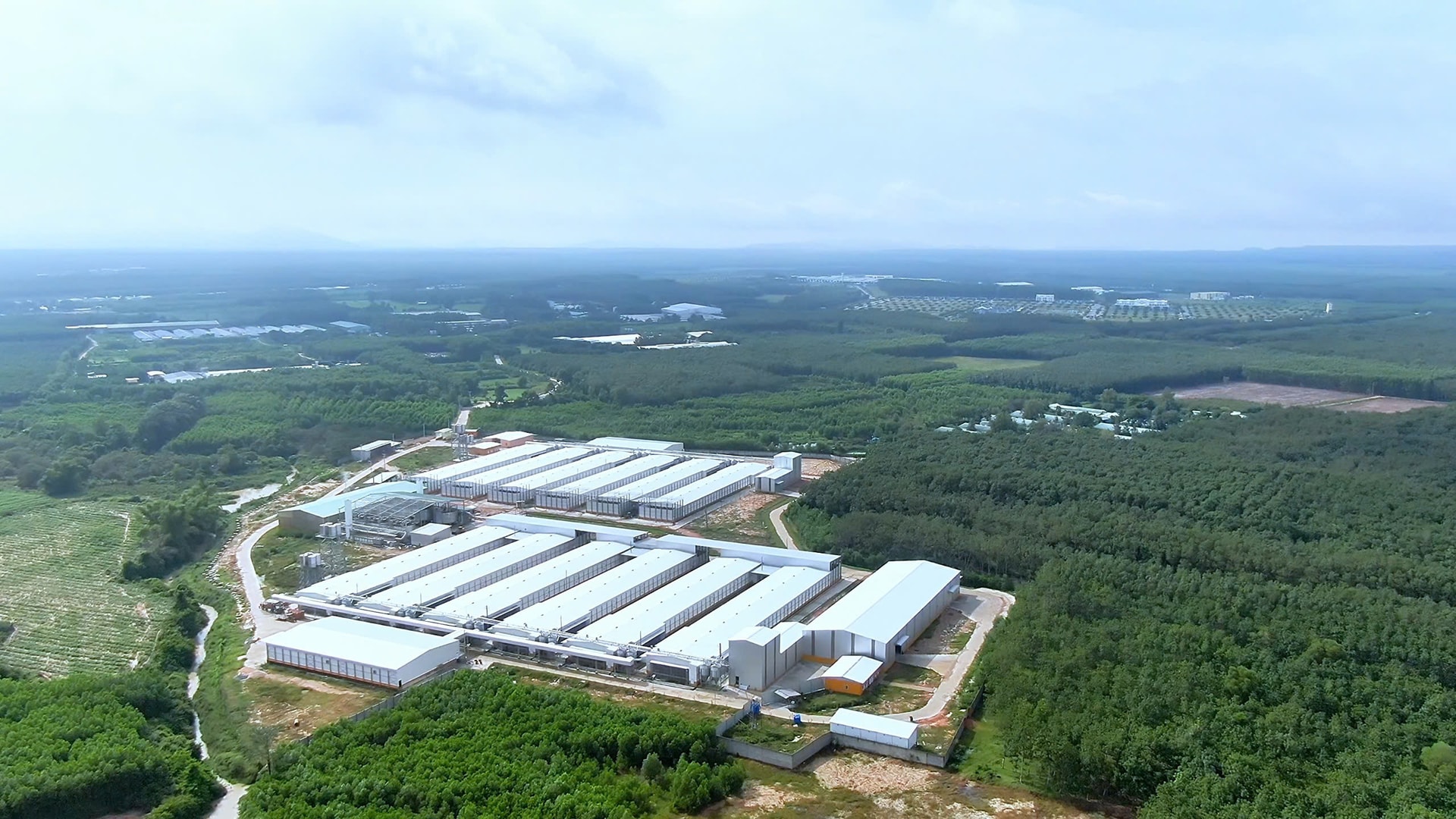 gen-h-trang trại Ta fa