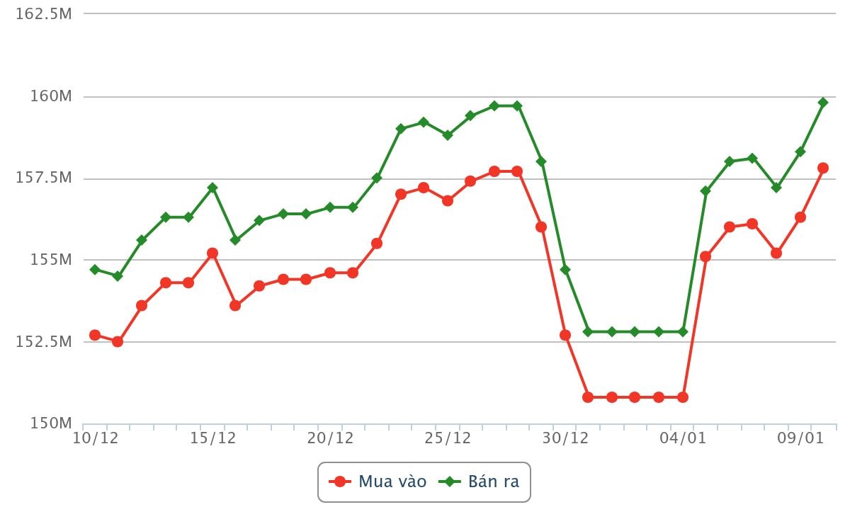 Biểu đồ giá vàng miếng SJC dao động từ ngày 10 tháng 12 năm 2025 đến trưa ngày 10 tháng 01 năm 2026