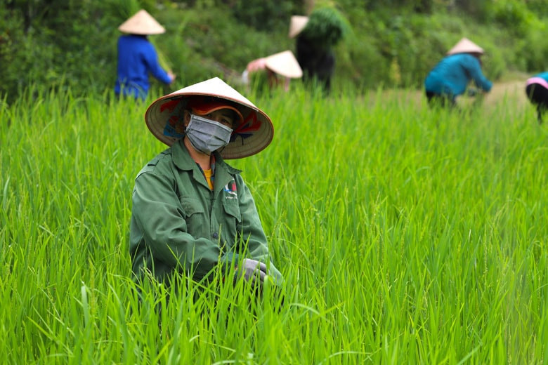 baolamdong.vn-file-e7837c02845ffd04018473e6df282e92-dataimages-202208-original-_images2471049_anh_1_15.jpg