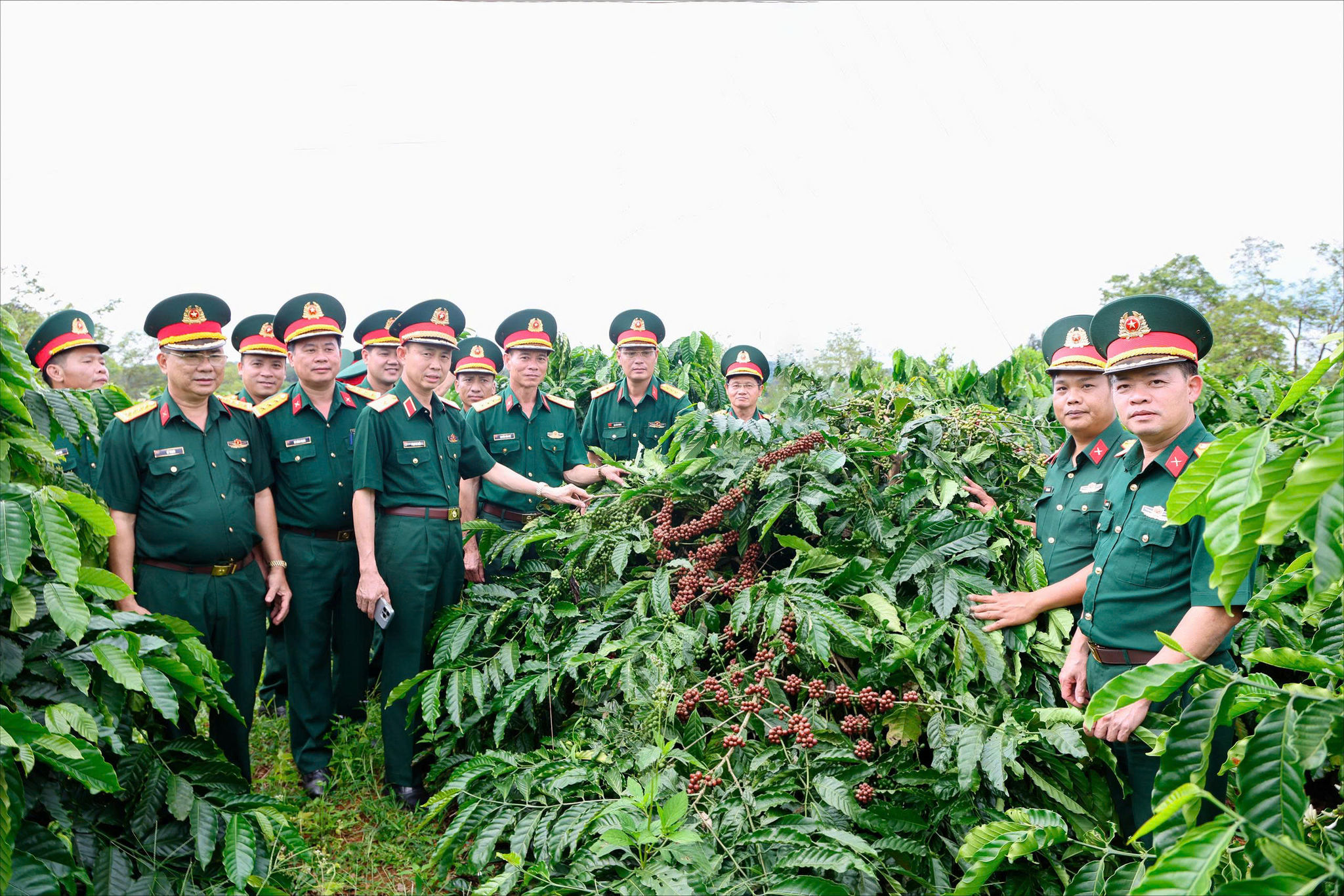 Binh đoàn 16_h2