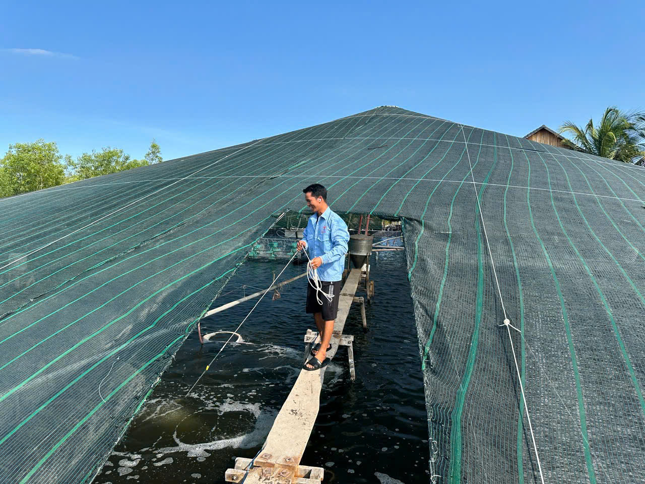 Nuôi tôm hướng công nghệ cao tại Lâm Đồng
