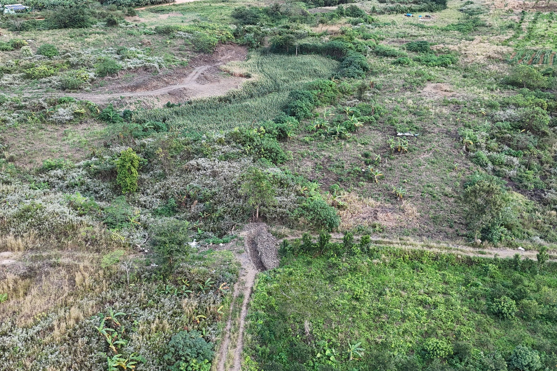 vuon-cam-quang-phu-2.jpg