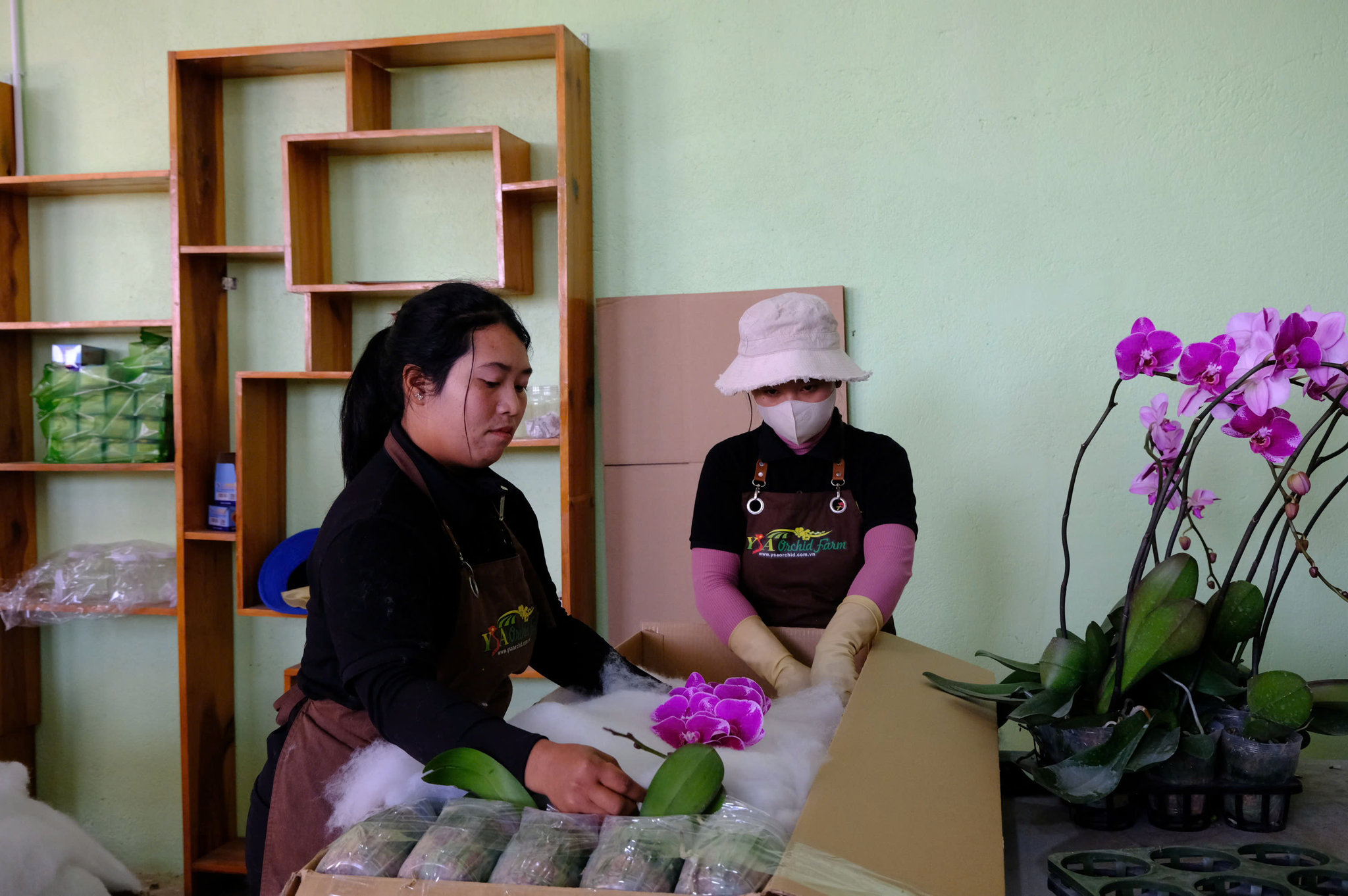 Hiện nay, doanh nghiệp tạo việc làm ổn định cho khoảng 60 lao động tại xã Đơn Dương, 100% là người đồng bào dân tộc thiểu số
