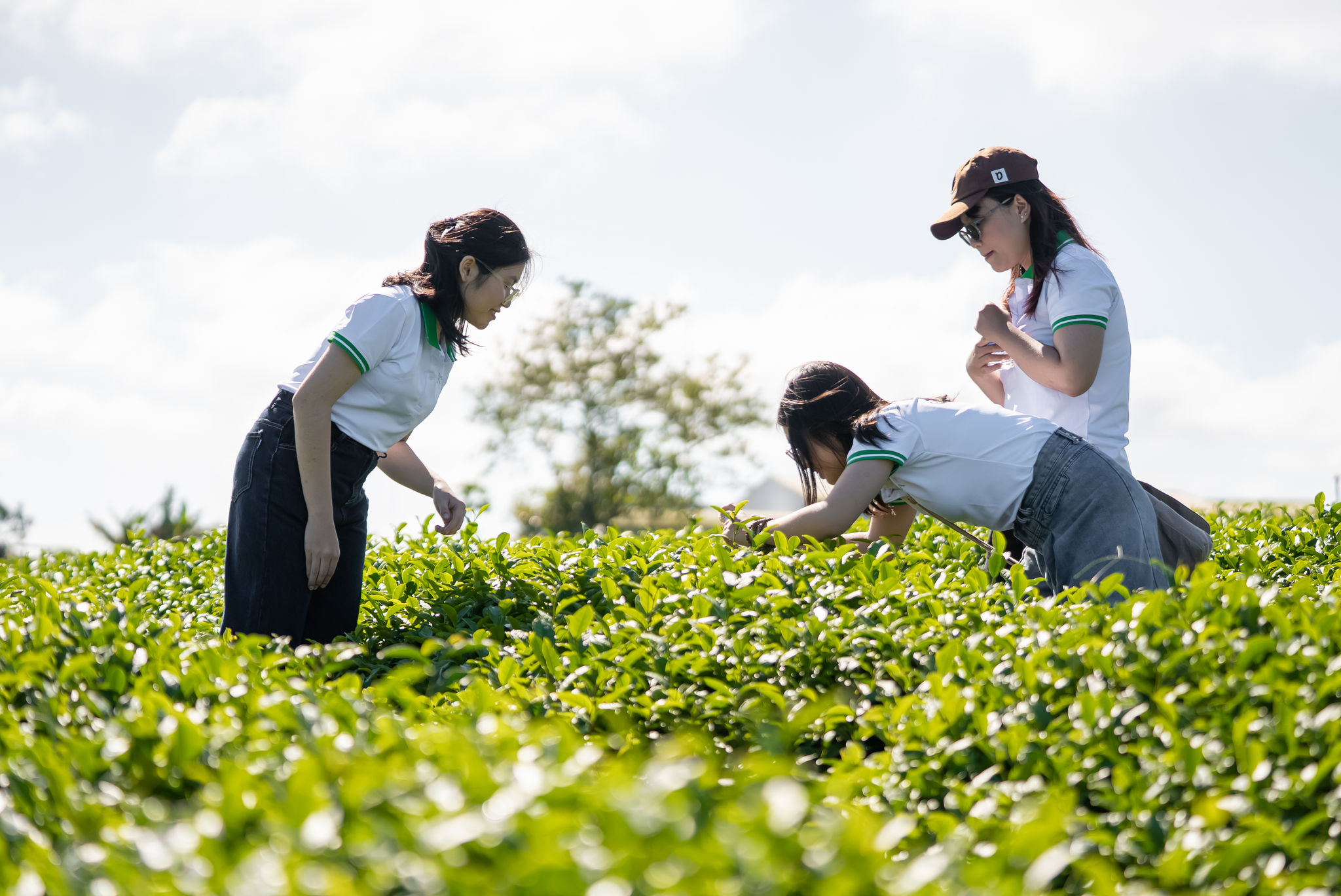 Du kh&aacute;ch trải nghiệm c&aacute;c gi&aacute; trị văn h&oacute;a bản địa tại v&ugrave;ng đất cao nguy&ecirc;n L&acirc;m Đồng