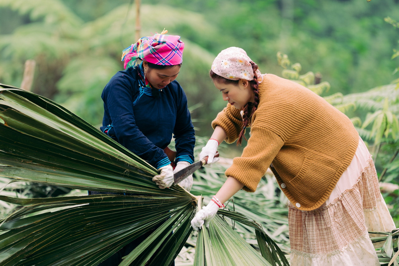 Quá trình xẻ lá cọ và tìm hiểu văn hóa địa phương