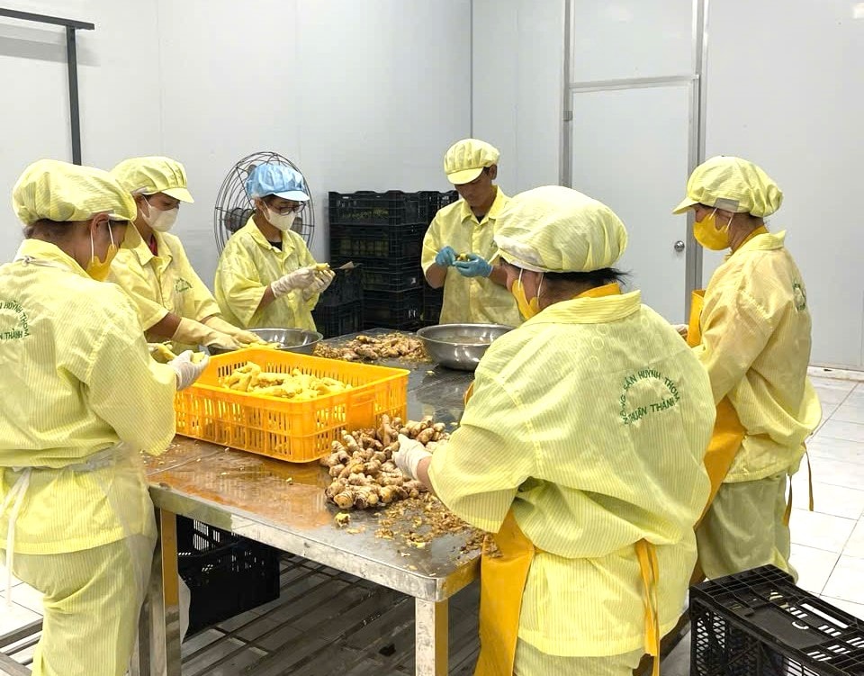 Lâm Đồng phát triển vùng nguyên liệu ổn định, thu hút đầu tư chế biến sâu gắn với xây dựng, mở rộng chuỗi giá trị toàn cầu (1)