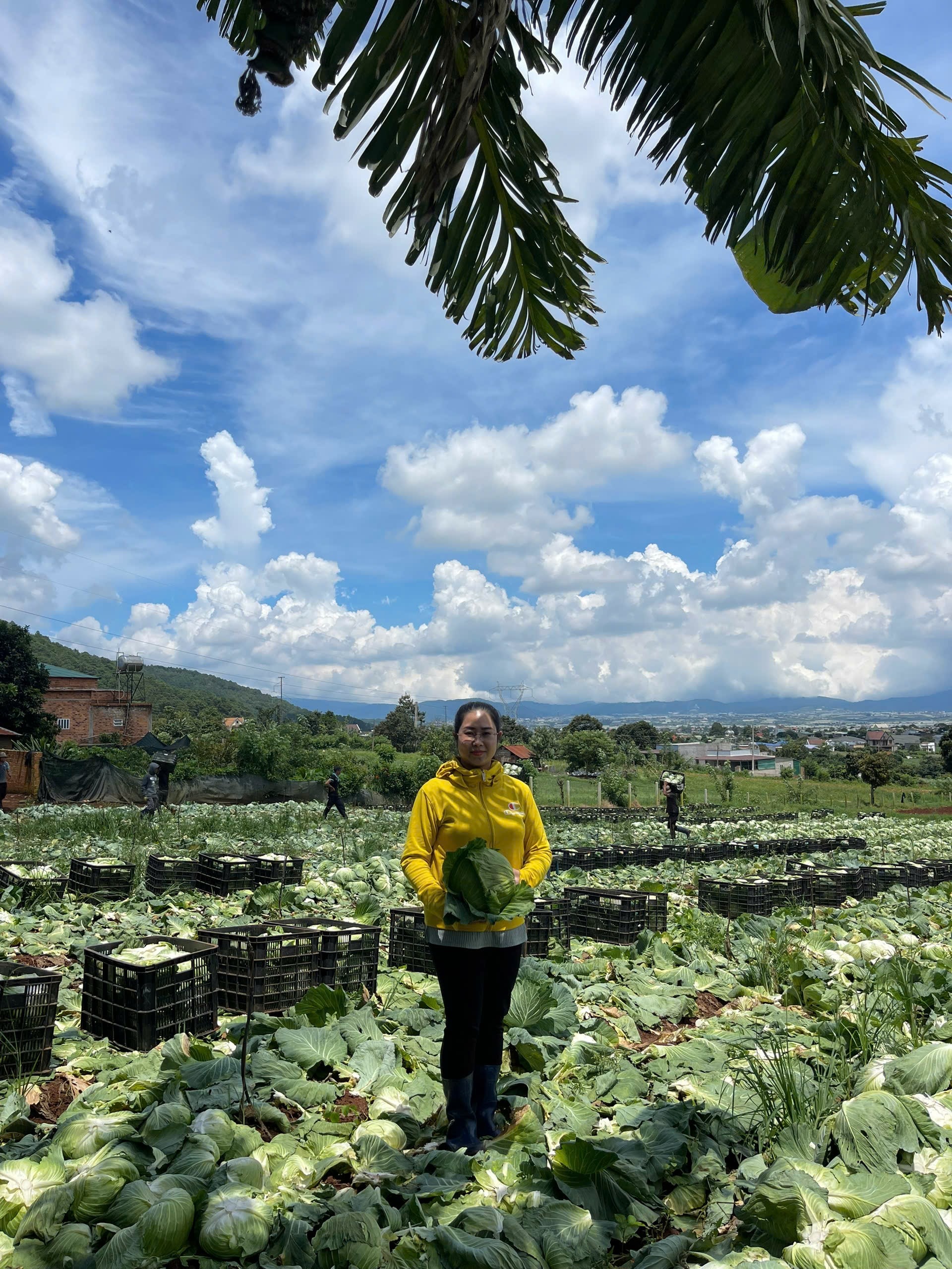 Lâm Đồng phát triển vùng nguyên liệu ổn định, thu hút đầu tư chế biến sâu gắn với xây dựng, mở rộng chuỗi giá trị toàn cầu (2)