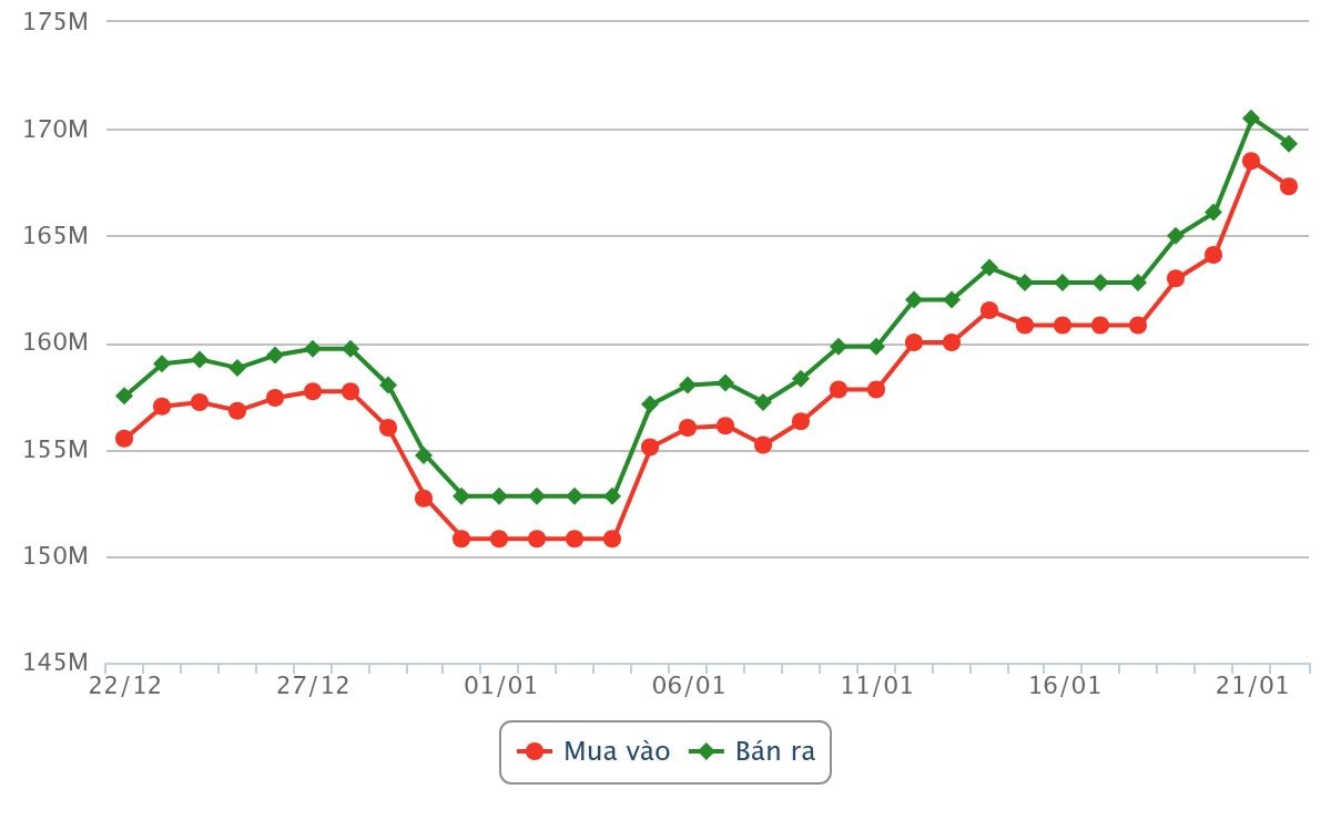 Biểu đồ giá vàng miếng SJC dao động từ ngày 22 tháng 12 năm 2025 đến chiều ngày 22 tháng 01 năm 2026