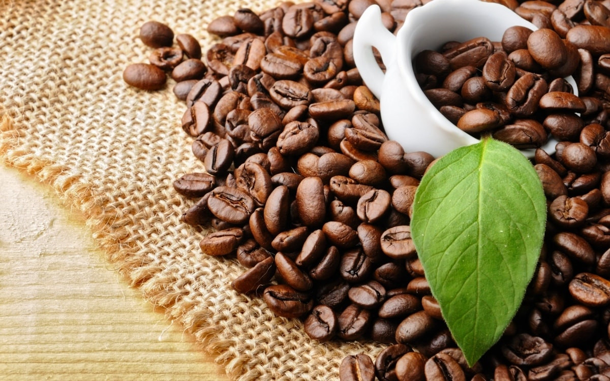 Giá cà phê hôm nay 23/1 tại Tây Nguyên tăng mạnh sát mốc 100.000 đồng/kg