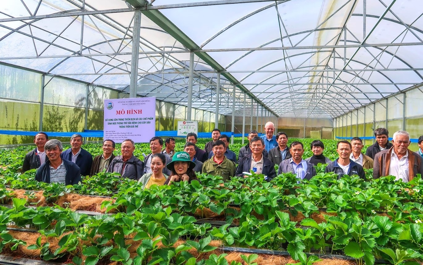 Trong năm 2025, toàn tỉnh thực hiện 26 mô hình chuyển giao khoa học kỹ thuật trồng trọt