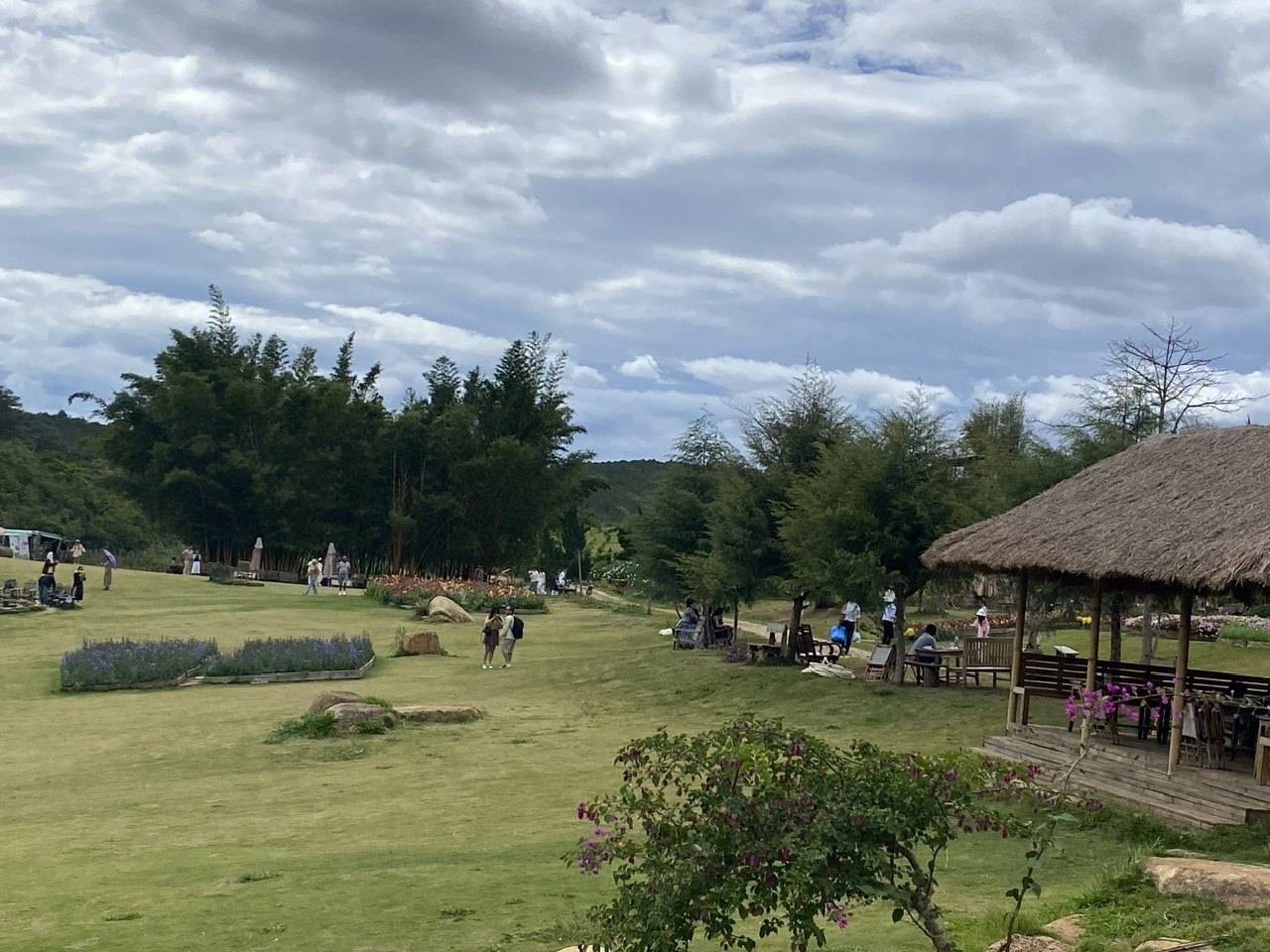 Điểm du lich cộng đồng tham quan, trải nghiệm giữa môi trường sinh thái rừng tự nhiên