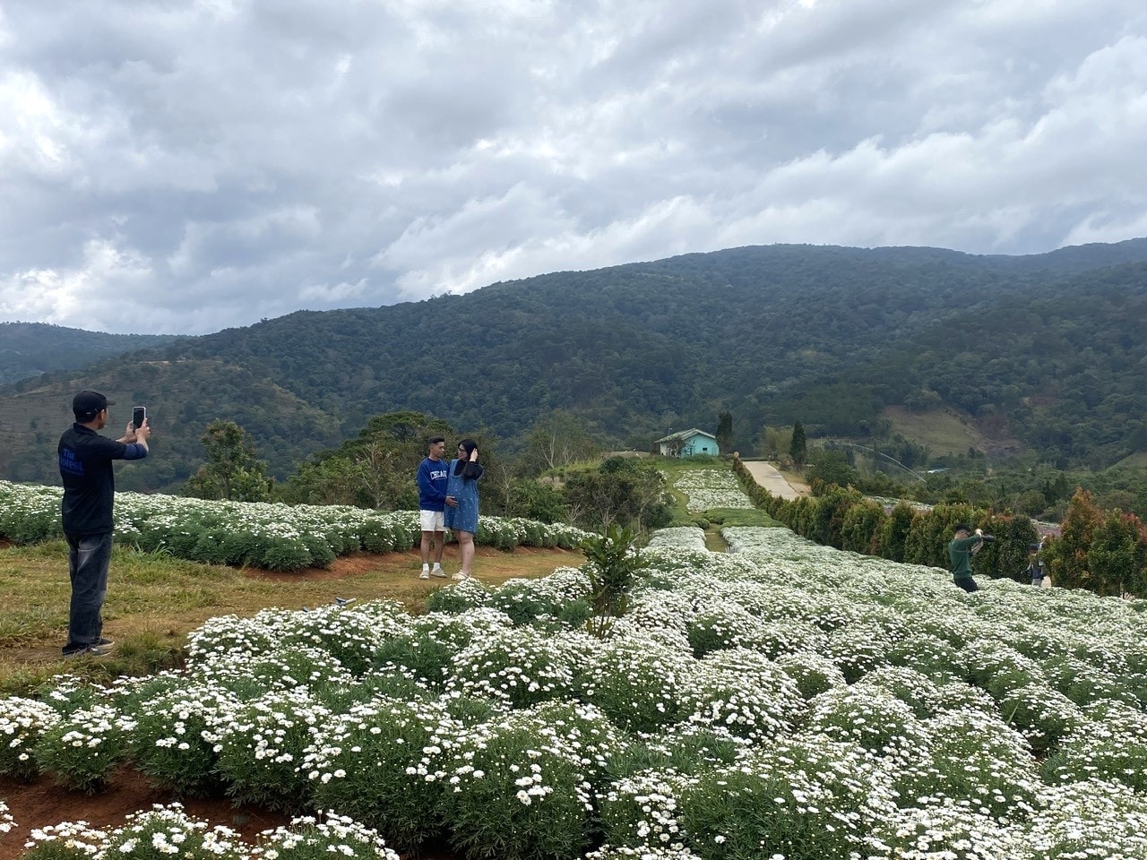 Vùng cao nguyên Lâm Đồng nhiều tiềm năng phát triển các loại hình du lịch cộng đồng (2)