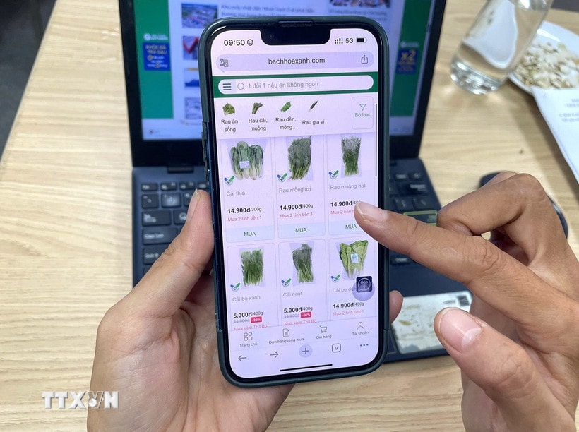 C&aacute;c hệ thống b&aacute;n lẻ tăng nhận diện logo t&iacute;ch xanh tr&aacute;ch nhiệm tr&ecirc;n hệ thống offline v&agrave; online. (Ảnh: Hương Giang/TTXVN)