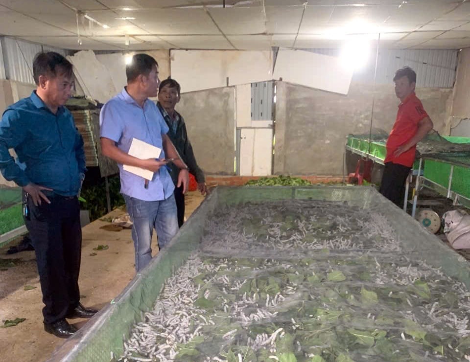 مرحله اولیه ساخت یک مدل آزمایشی از ۱۰ هکتار مزرعه پرورش میگو با فناوری پیشرفته توسط کمون کین دوک با ۲۰ خانوار شرکت کننده ۱-.jpg