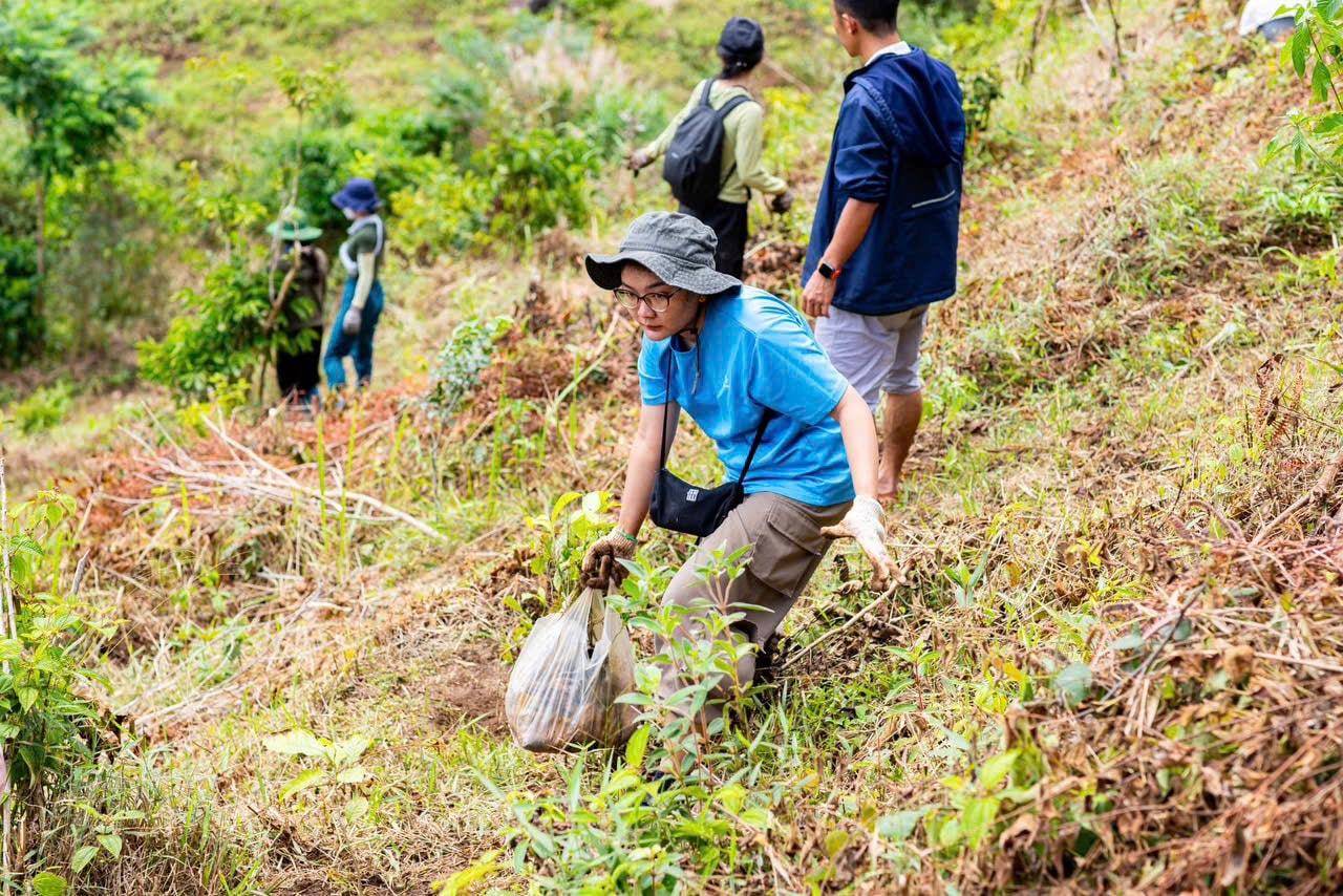 Trồng rừng Tà Đùng