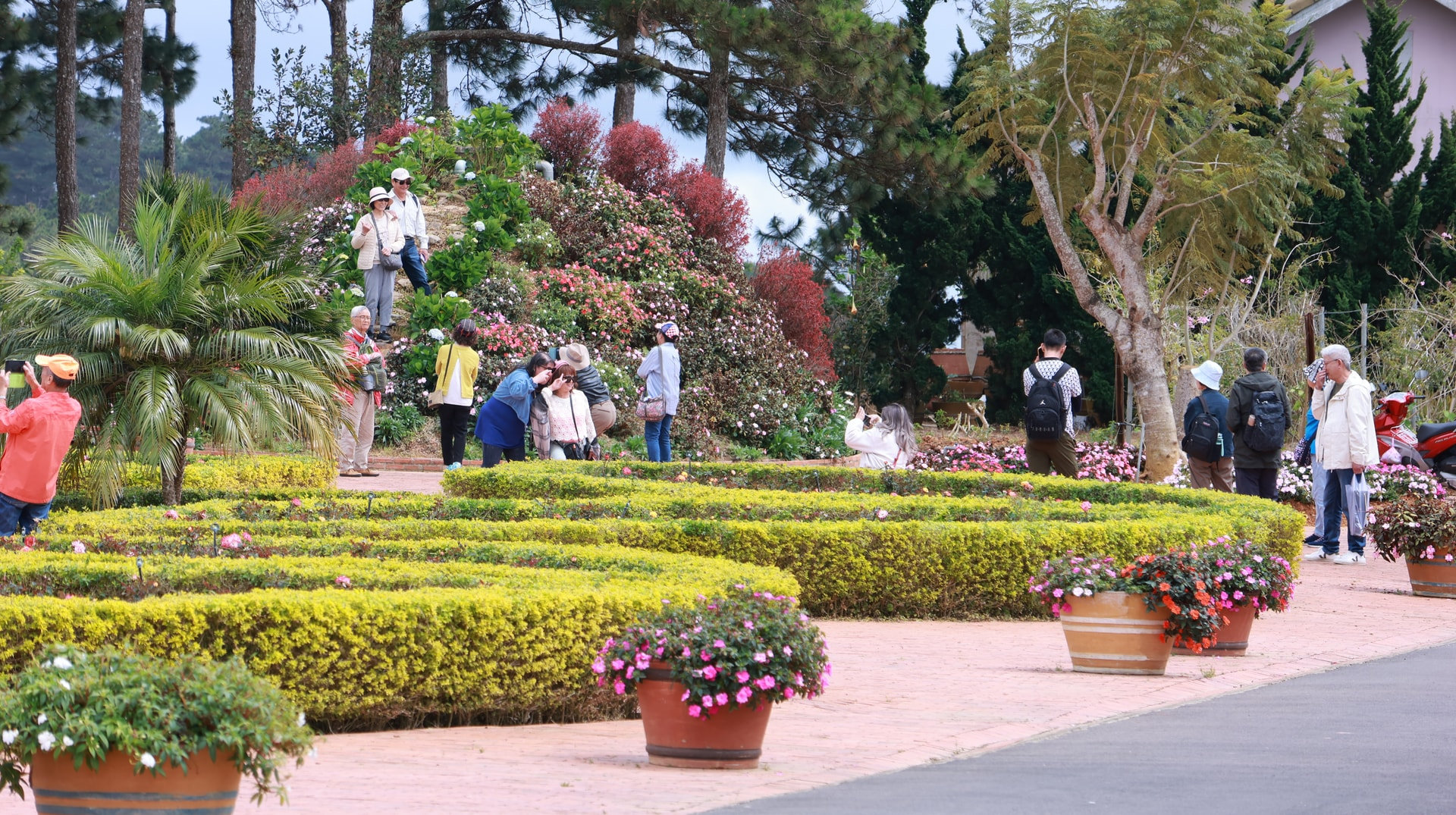 Da Lat wine experience destination in Tram Hanh - Cau Dat attracts international tourists