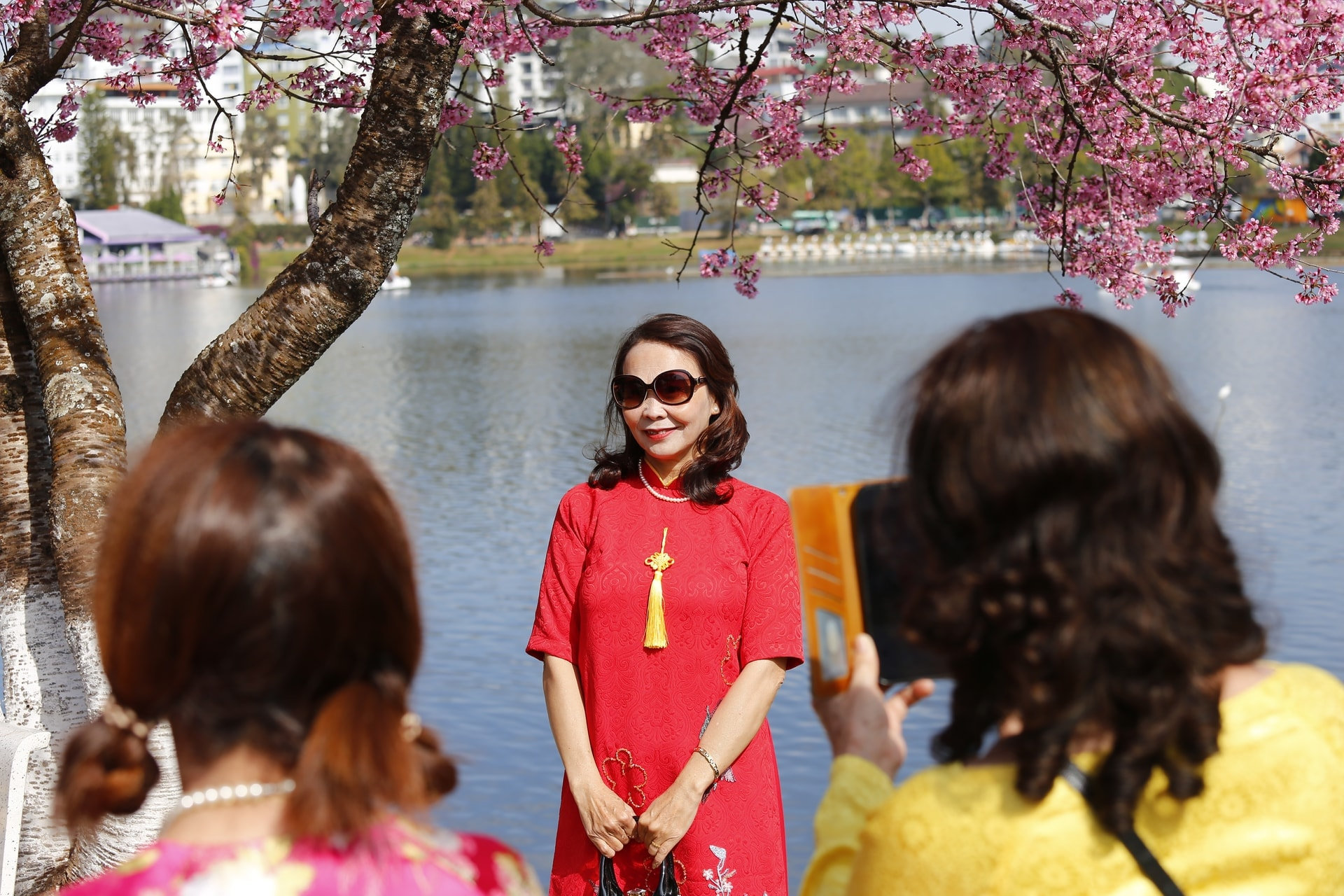 The beauty of cherry blossoms leaves many visitors enchanted.