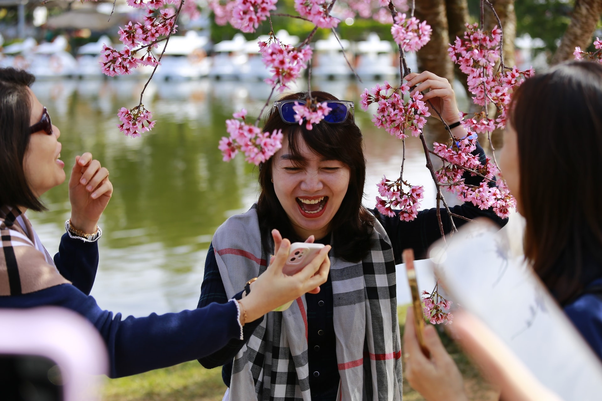 The beauty of cherry blossoms leaves many visitors enchanted.