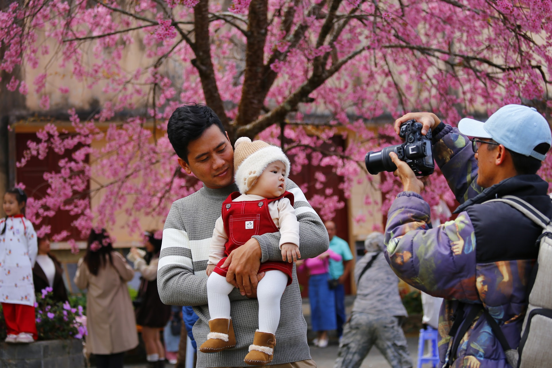 Many parents mark their children’s childhood memories beneath the cherry blossoms.