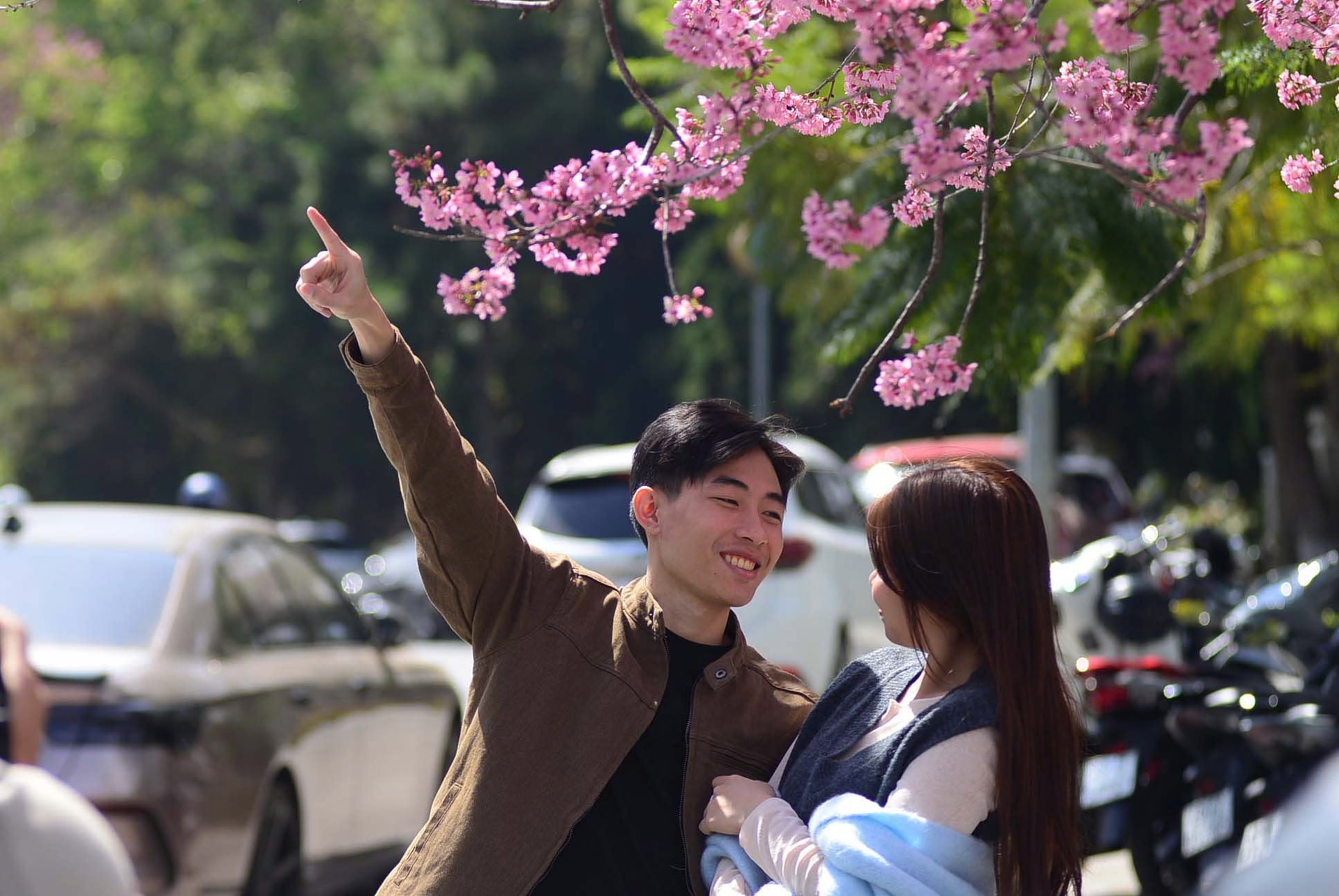 Young people capture moments of youth amid the vivid pink cherry blossoms