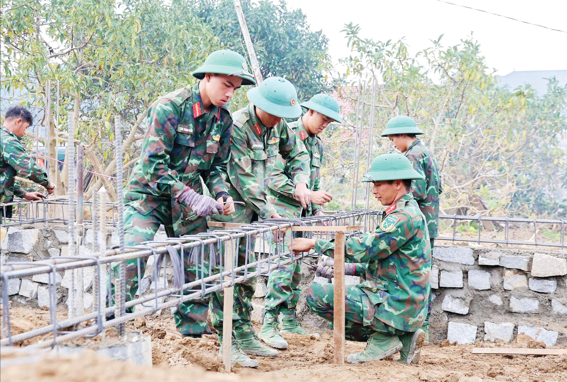 t64a5.jpg