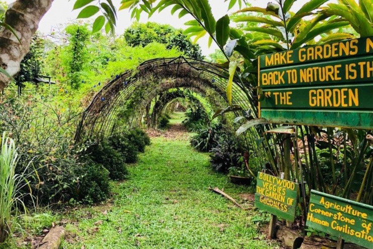 Không gian xanh mướt tại nông trại Bollywood Farms ở vùng ngoại ô Kranji