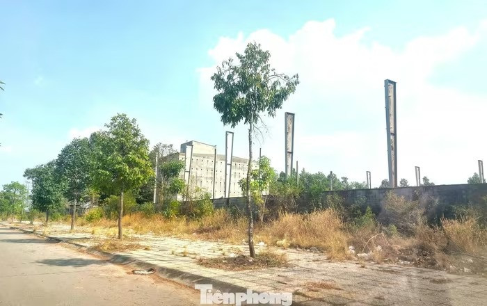 Nhiều khu vực trong dự án được quây tôn kín nhưng không có dấu hiệu thi công.