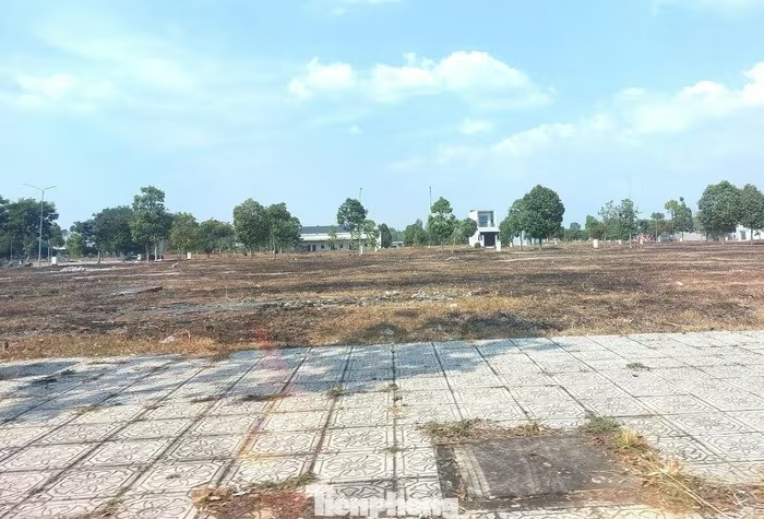 Thực trạng bên trong dự án Khu dân cư Đại Nam với nhiều khu vực bị bỏ hoang.