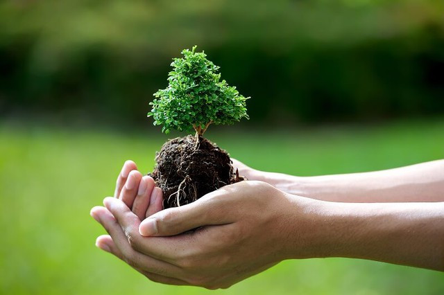 BÁO CÁO CHÍNH TRỊ CỦA BAN CHẤP HÀNH TRUNG ƯƠNG ĐẢNG KHÓA XIII TẠI ĐẠI HỘI ĐẠI BIỂU TOÀN QUỐC LẦN THỨ XIV CỦA ĐẢNG- Ảnh 5.