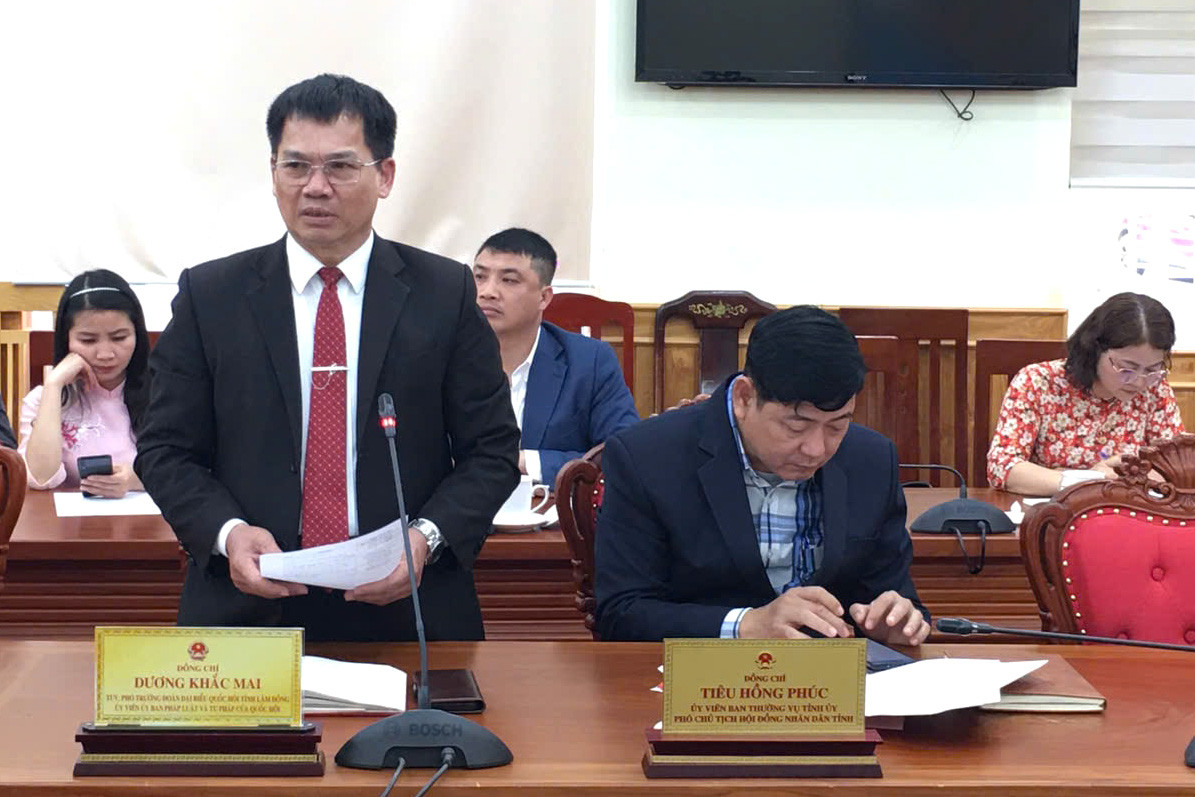 d_c-duong-khac-mai-pho-doan-chuyen-trach-doan-dai-bieu-qh-tinh-.jpg