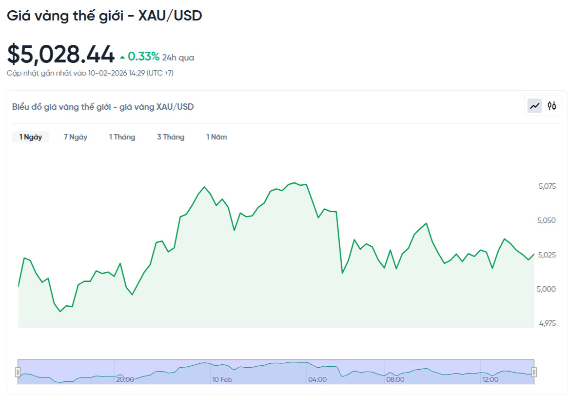 gia-vang-the-gioi-hom-nay-bieu-do-gia-vang-xauusd-kitco-realtime-02-10-2026_02_31_pm.jpg