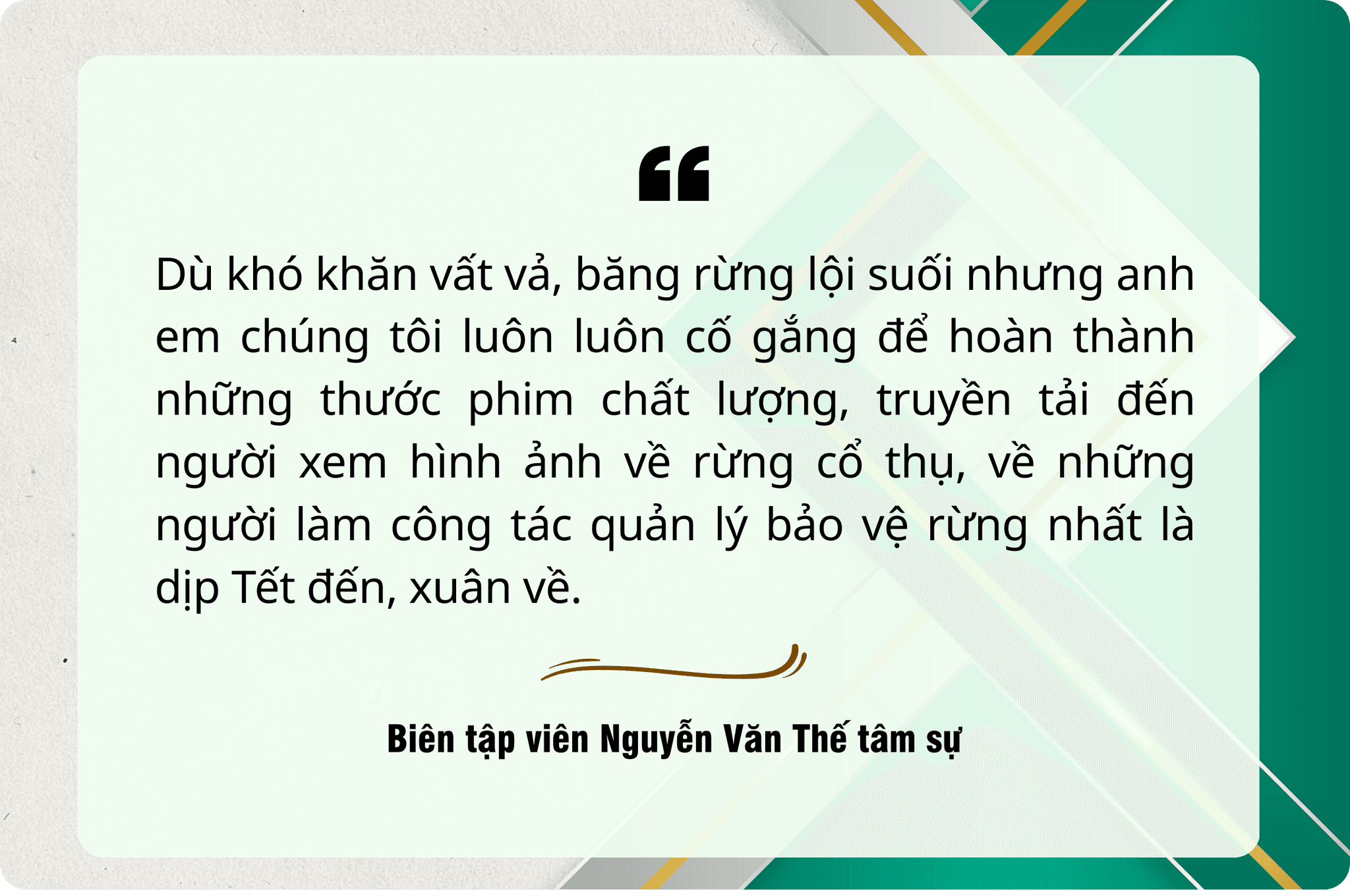 nguyen van the pc