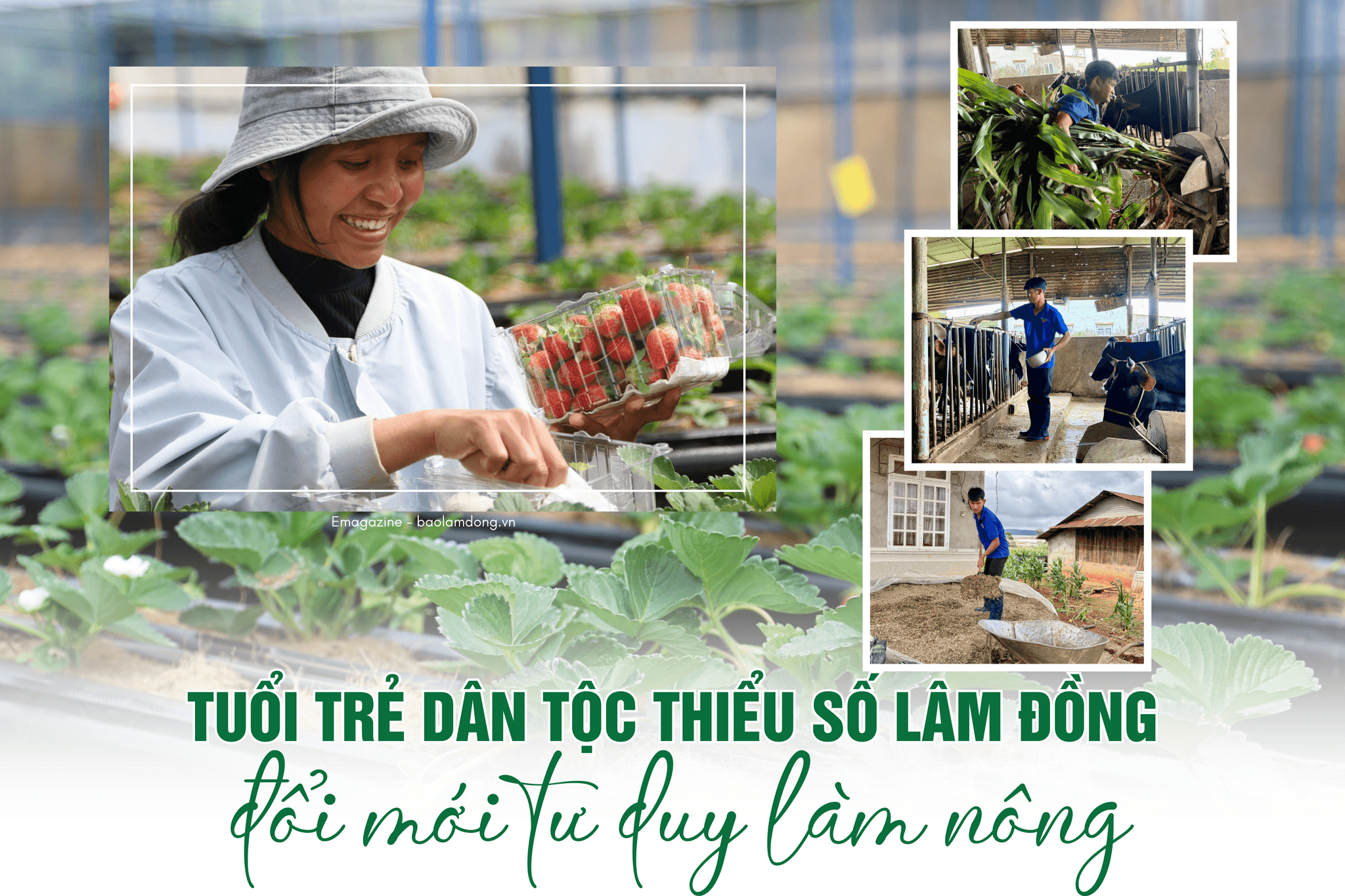 tuổi trẻ pc