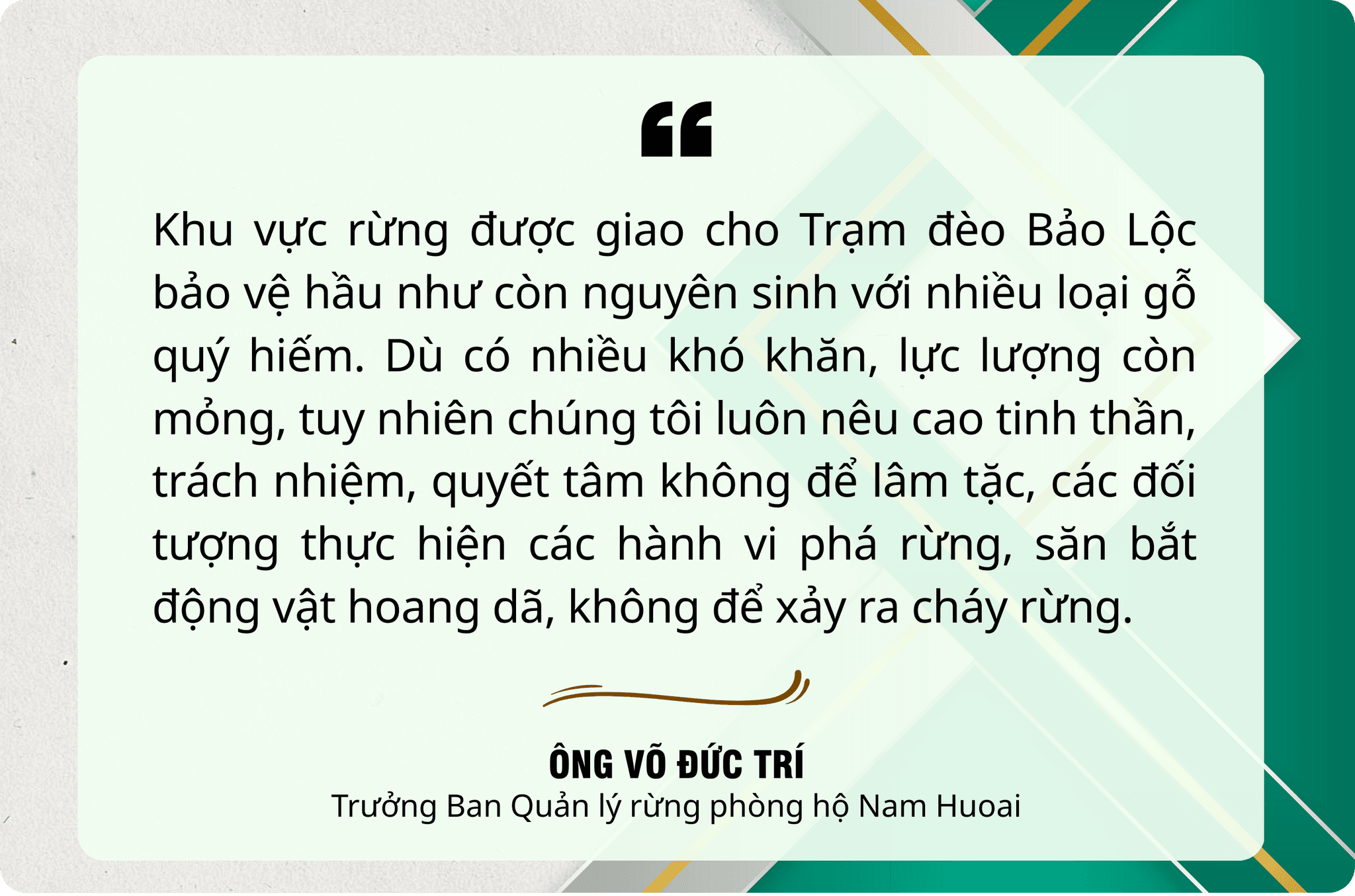 vo duc tri pc