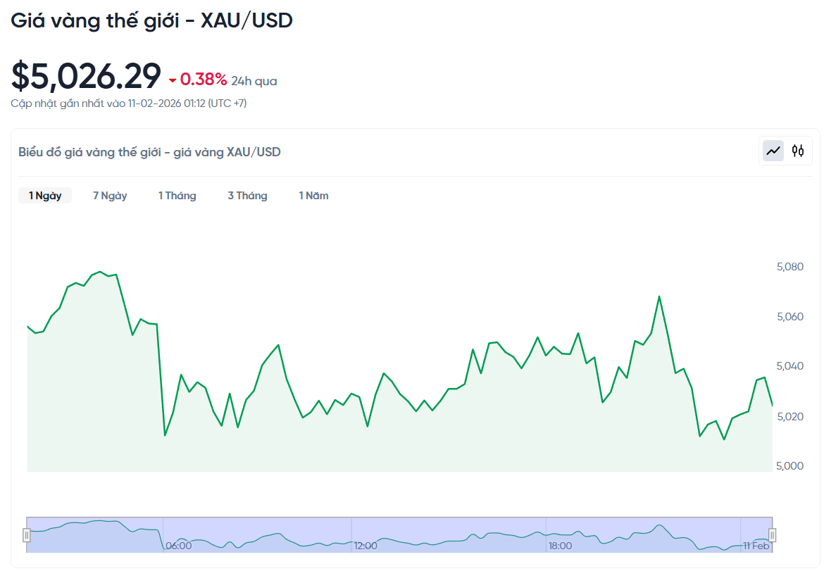gia-vang-the-gioi-hom-nay-bieu-do-gia-vang-xauusd-kitco-realtime-02-11-2026_01_13_am.png