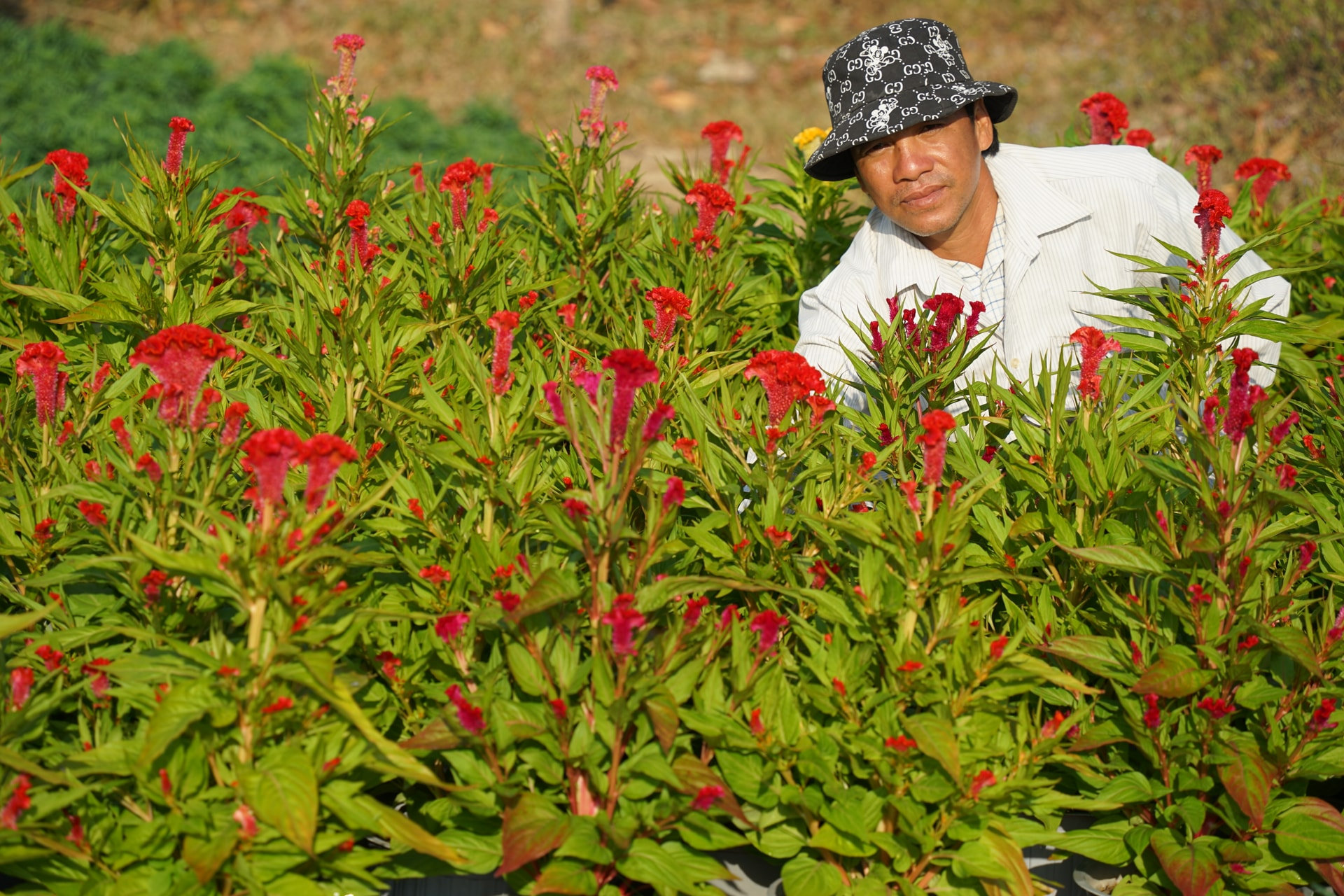 Nguyen Van Dung, Head of the Farmers’ Association Branch in Quarter 2, Tien Thanh Ward: “Thanks to flowers, my children have been able to receive a proper education.”