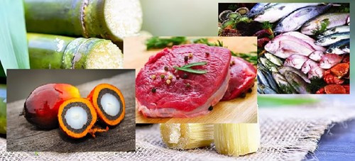 Thị trường thực phẩm và nông sản thế giới tháng 10/2025