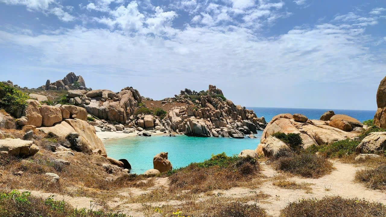 Hon Cau is one of only three marine protected areas in Vietnam where sea turtles come ashore to lay their eggs.
