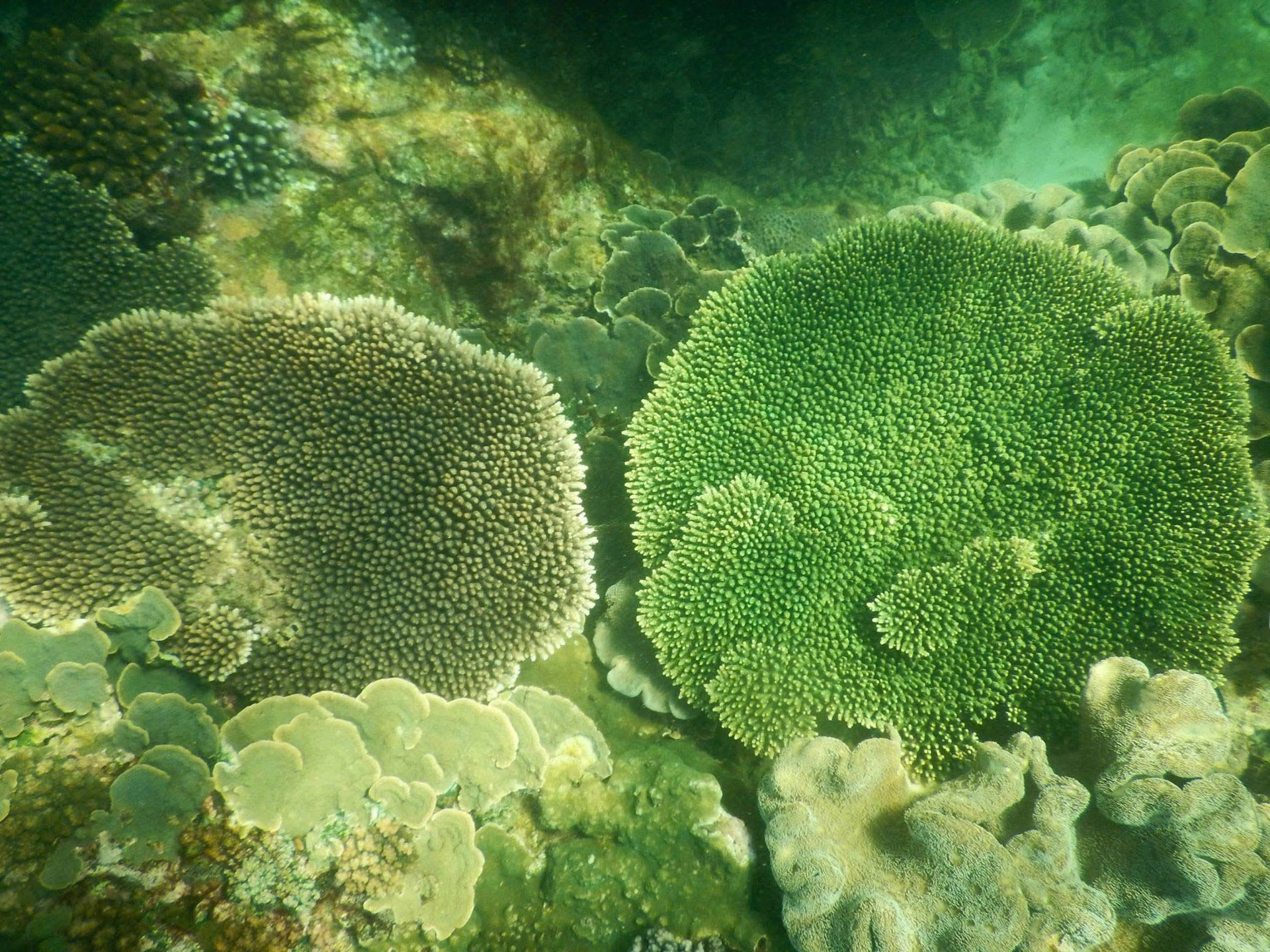 The island is home to invaluable natural resources that provide scientists and students with exceptional opportunities to study marine ecosystems.