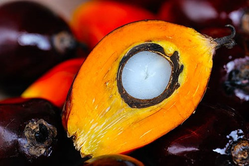 Thị trường dầu thực vật quốc tế ghi nhận sự sụt giảm đồng loạt