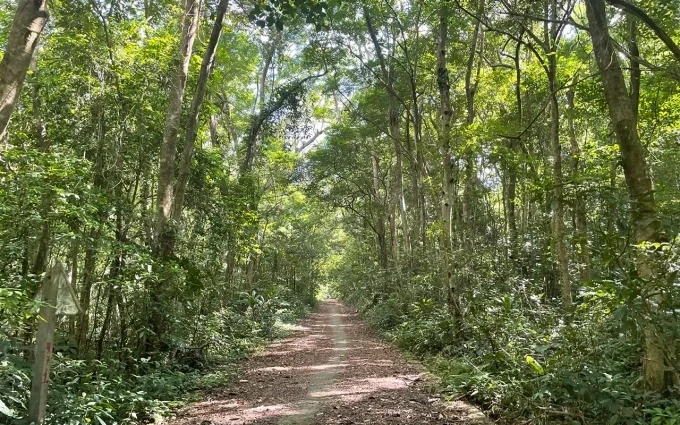 Cung đường trekking trong Vườn quốc gia Cát Bà
