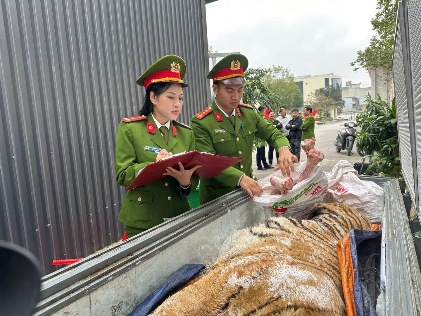 Đối tượng Hoàng Đình Đạt và tang vật liên quan đến vụ án mua bán hổ trái phép tại Thanh Hóa