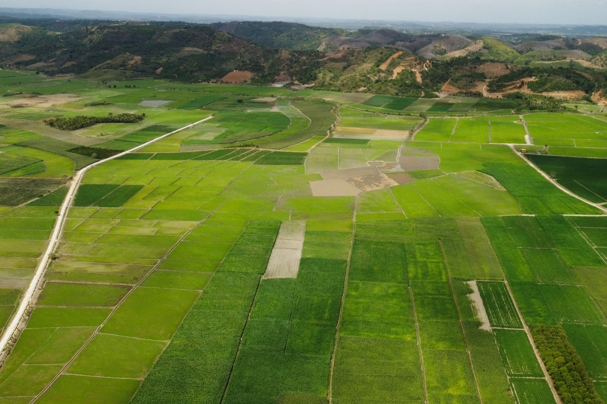 a DJI_0745