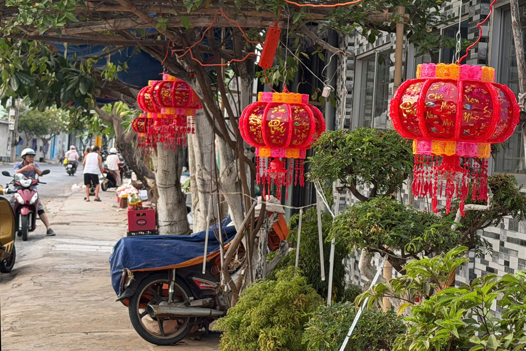 Xuan Phu Quy_ 6