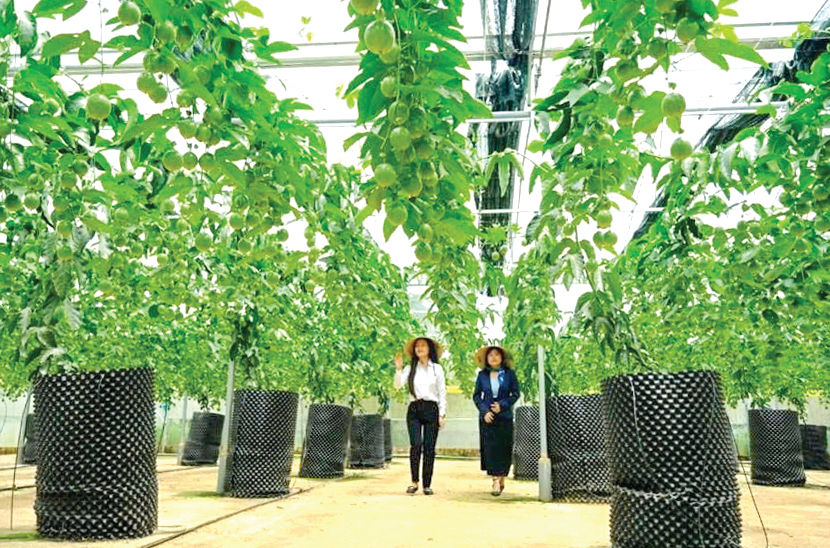 Apply science and technology to improve production value.