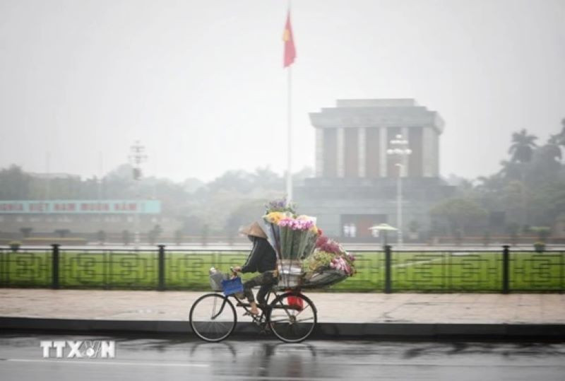 (Ảnh minh họa: Thành Đạt/TTXVN)