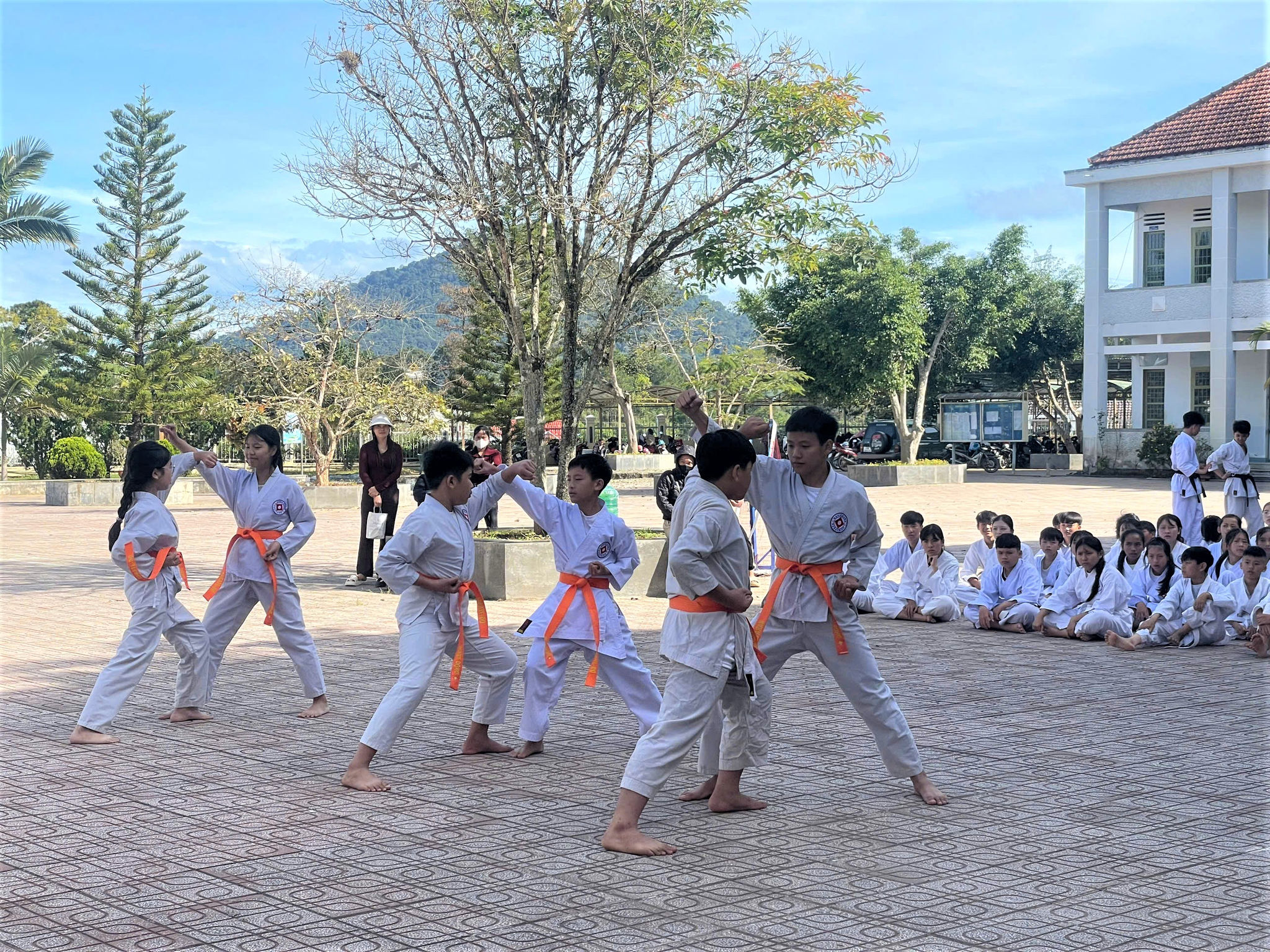 anh Karate