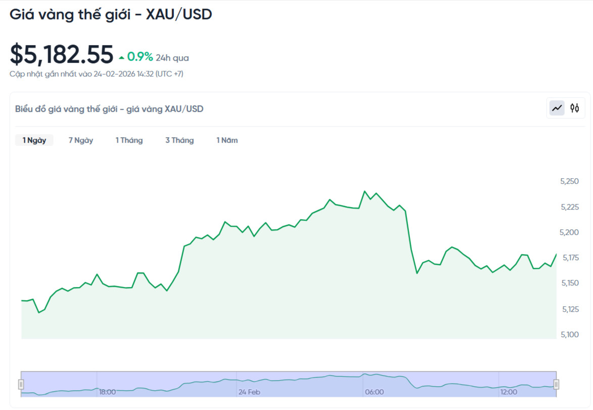 gia-vang-the-gioi-hom-nay-bieu-do-gia-vang-xauusd-kitco-02-24-2026_02_33_pm.jpg