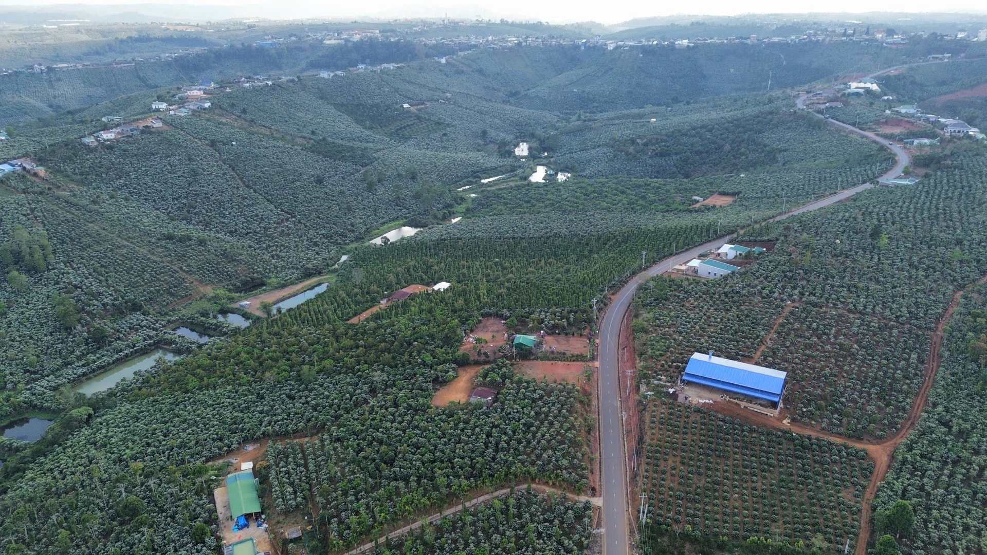 मधुमक्खी (1)